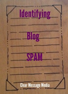 Identifying Blog Spam